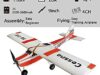 Dancing Wing Cessna