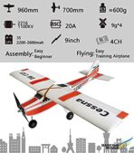 Dancing Wing Cessna