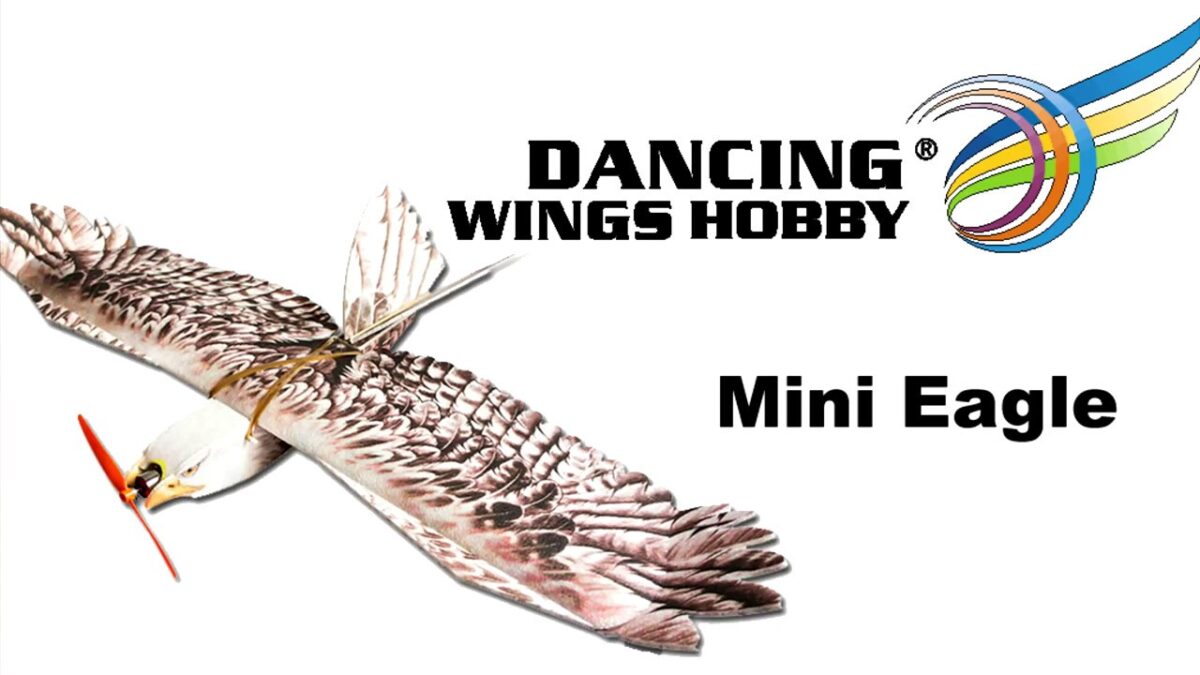Dancing Wing MINI EAGLE1