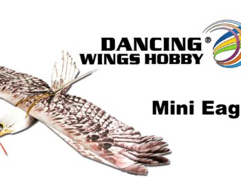 Dancing Wing MINI EAGLE1